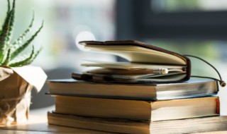 星辰大海是什么意思（眼有星辰大海,心有繁花似锦）