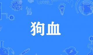 狗血是什么意思啊 狗血是什么意思啊能喝吗