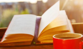 熠熠生辉是什么意思 熠熠生辉是什么意思解释