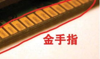 金手指是什么意思啊（枪械金手指是什么意思啊）