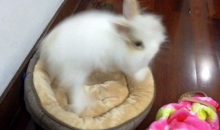 魔怔是什么意思啊（魔怔是精神病吗）