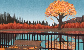 秋膘是什么意思 秋膘是什么意思网络用语