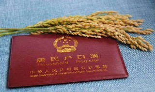 曾用名是什么意思 曾用名是什么意思怎么填