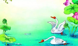 咏鹅唐诗 咏鹅唐诗儿歌视频教学