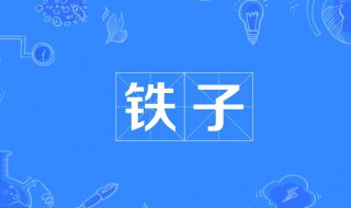 铁子是什么意思（网络上铁子是什么意思）