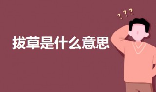 拔草是什么意思网络 网络语拔草是什么意思