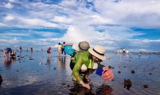 赶海是什么意思 欺山赶海是什么意思