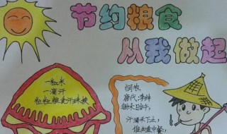 珍惜粮食手抄报内容（节约粮食手抄报内容）