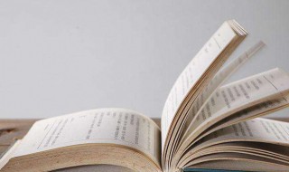 昆虫记读后感800字（昆虫记读后感800字左右）