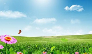 送给步入小学孩子的话 送给步入小学孩子的话怎么写