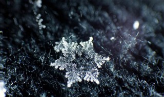 雪花像什么的比喻句 雪花像什么的比喻句二年级上册