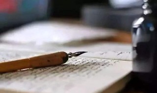 保护野生动物作文（保护野生动物作文400字）