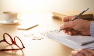 水上乐园作文（水上乐园作文400字左右四年级）