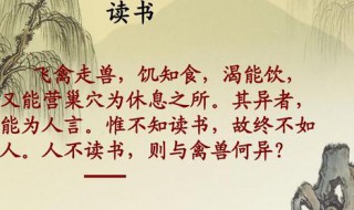 关于爱学习的成语 关于学习的成语