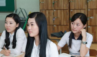 初级会计职称成绩一般什么时候公布（初级会计职称考试成绩什么时候公布）