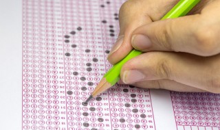 什么专业可以专生本（什么专业可以专生本学历）