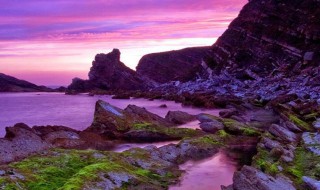 正能量文艺短句（正能量文艺短句 励志）