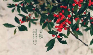 关于立秋唯美诗句（关于立秋唯美诗句大全）