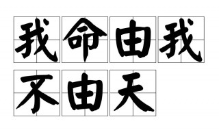 我命由我不由天下一句（我命由我不由天下一句怎么回答）