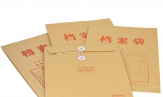 档案袋被打开怎么处理 档案袋打开了怎么办