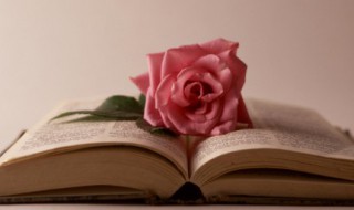 赞美桂花香的诗句（赞美桂花香的诗句词语）