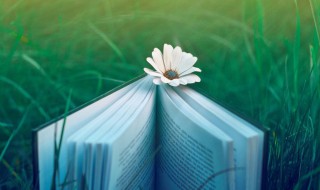 坚持的名人名言（鼓励人坚持的名人名言）