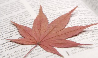 读书格言 读书格言简单大全三年级