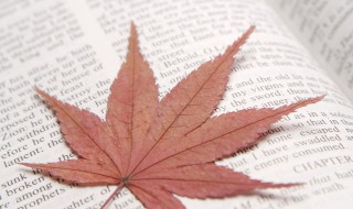 浪漫的英语爱情句子（浪漫的英语爱情句子长）