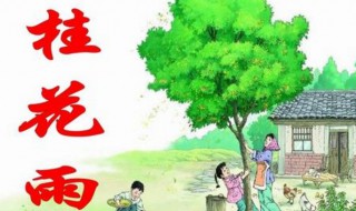 桂花雨读后感400字（桂花雨读后感400字作文）