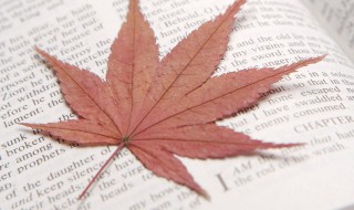 关于老师的古诗名句 关于老师的古诗名句大全