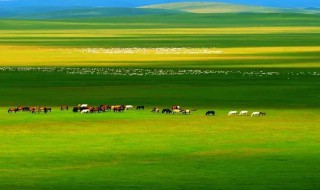描写草原的古诗名句 描写草原的古诗名句20