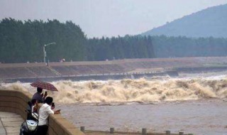 观潮作者简介 观潮作者简介四年级上册