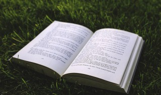 幼儿园教师最美格言 幼儿园教师最美格言10字