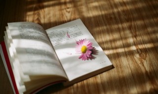 观潮是按什么顺序写的（观潮是按什么顺序写的,你的脑海中浮现出怎样的画面）