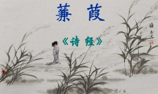 诗经蒹葭原文翻译赏析 诗经蒹葭的译文