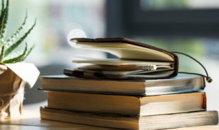 见色起意是什么意思呢 见色起意是什么意思呢英语