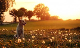 温暖作文 温暖作文800字初中