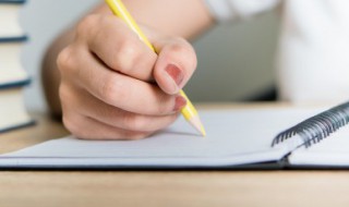 遇见作文 遇见作文500字