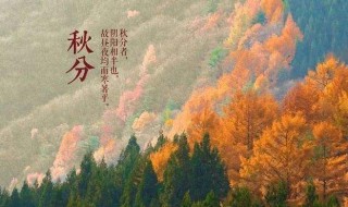 白露秋分是什么意思 白露秋分时令饮食