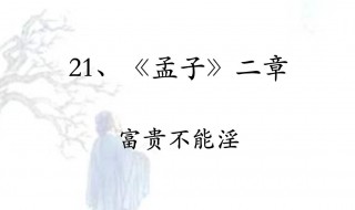 富贵不能淫翻译（富贵不能翻译）