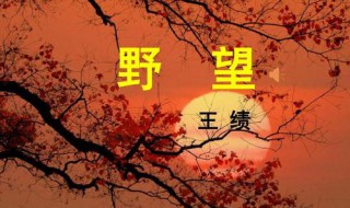 野望原文及翻译（野望原文及翻译注释）