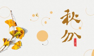 二十四节气秋分诗词（二十四节气秋分的诗）