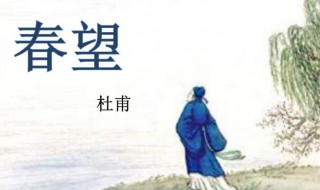 春望杜甫翻译和赏析 春望杜甫的诗翻译