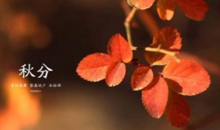 秋分的俗语 秋分的俗语农谚或古诗名句