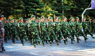 军训作文 军训作文开头结尾的优美语句