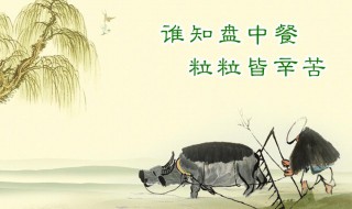 杜绝浪费粮食的标语 杜绝浪费粮食的标语50字