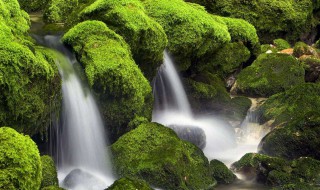 描写瀑布的诗句 描写瀑布的诗句李白