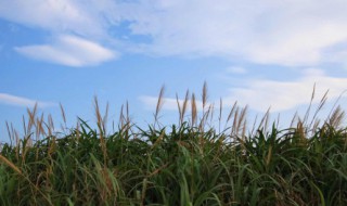 描写秋天天气的词语 描写秋天天气的词语二年级