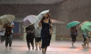 动静结合的景物描写（动静结合的景物描写50字的句子）