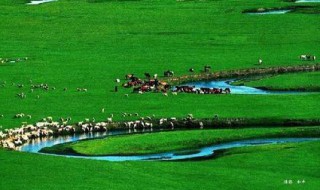 描写草原的句子（描写草原的句子短句）